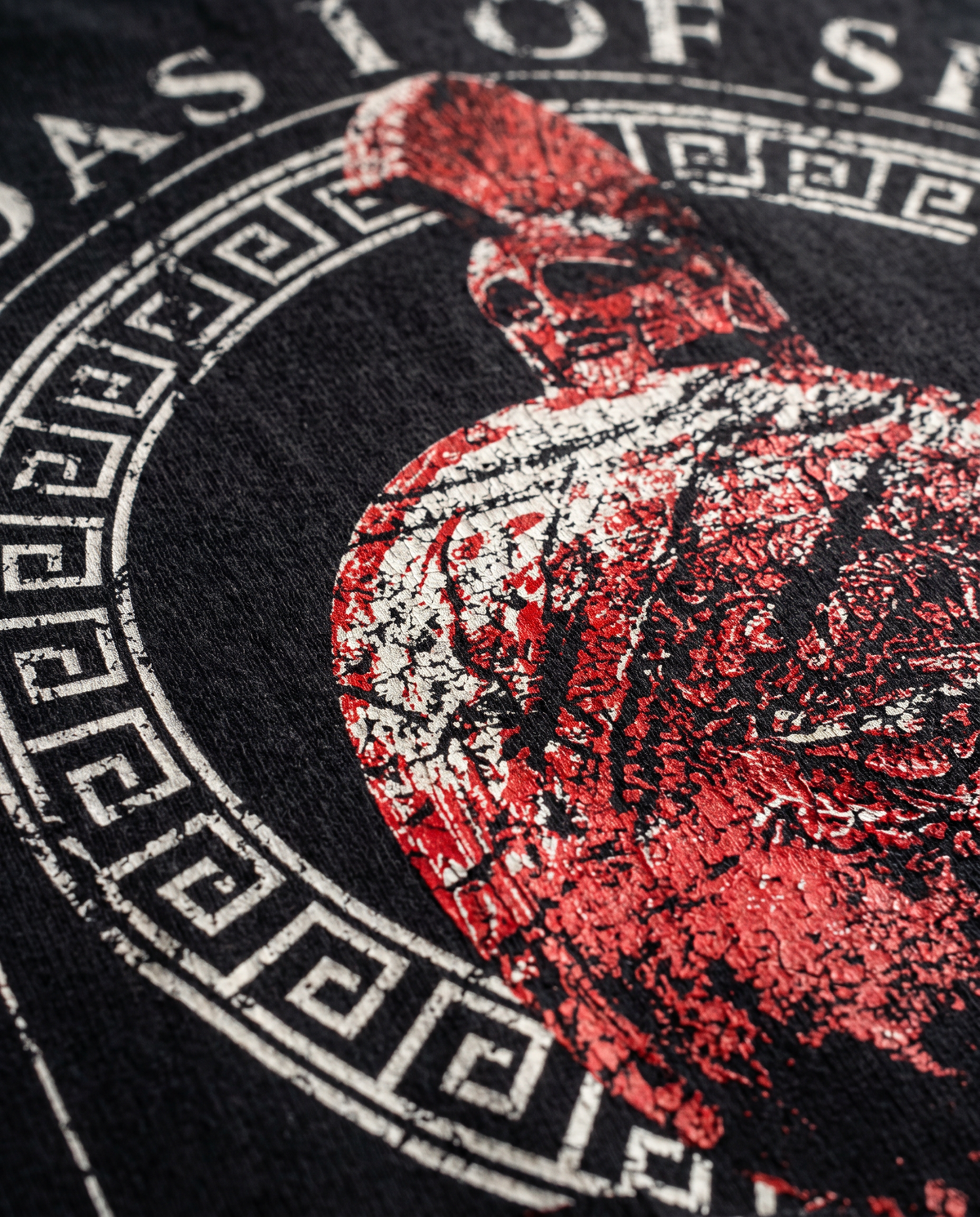 "Leonidas" Black Eco Hoodie · 100% Organic Cotton