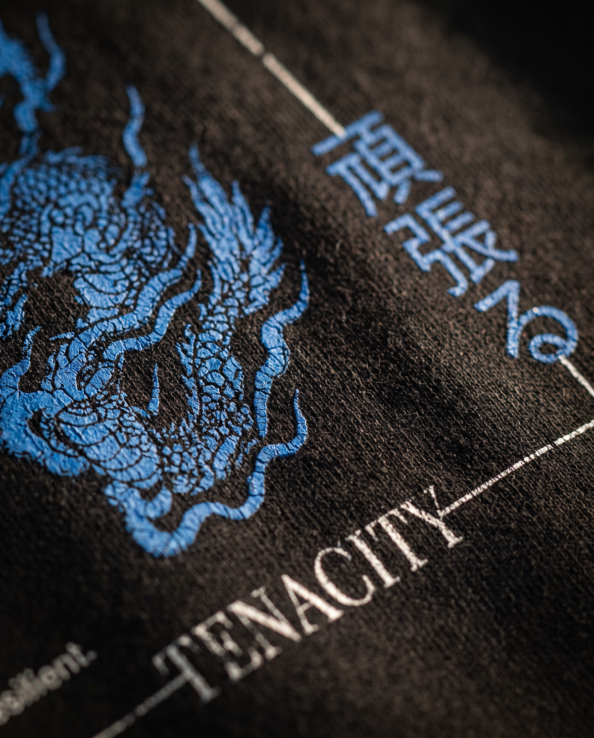 "Ganbaru" Black Eco Hoodie · 100% Organic Cotton